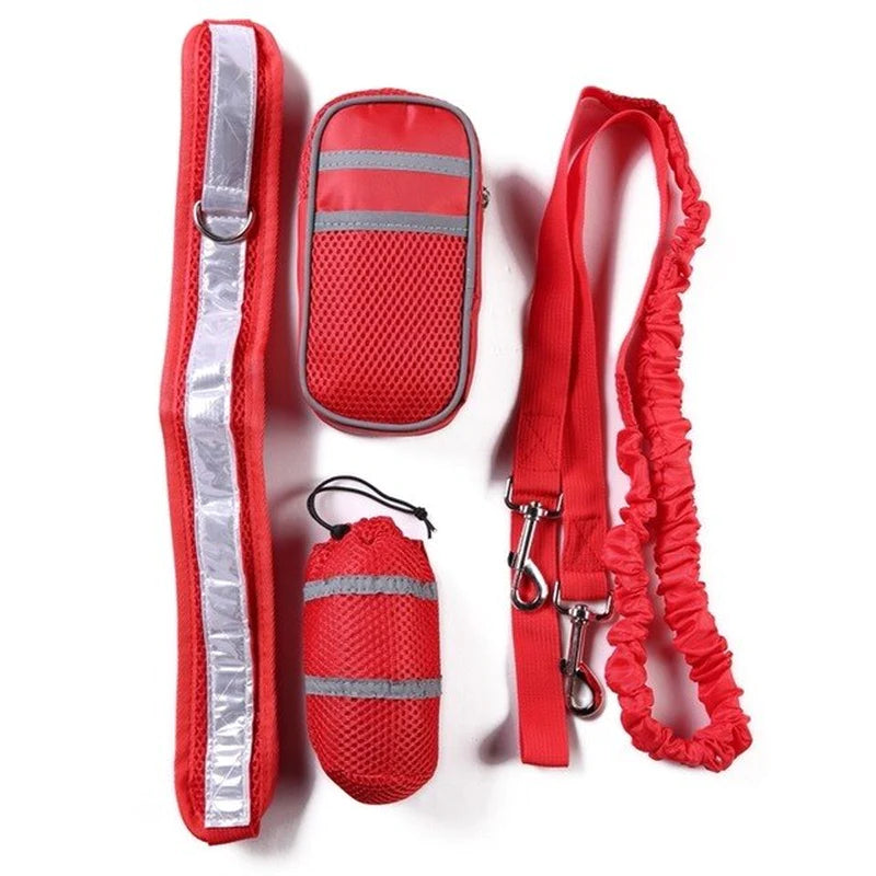 Pet Dog Cat Elastic Reflective Belt Running