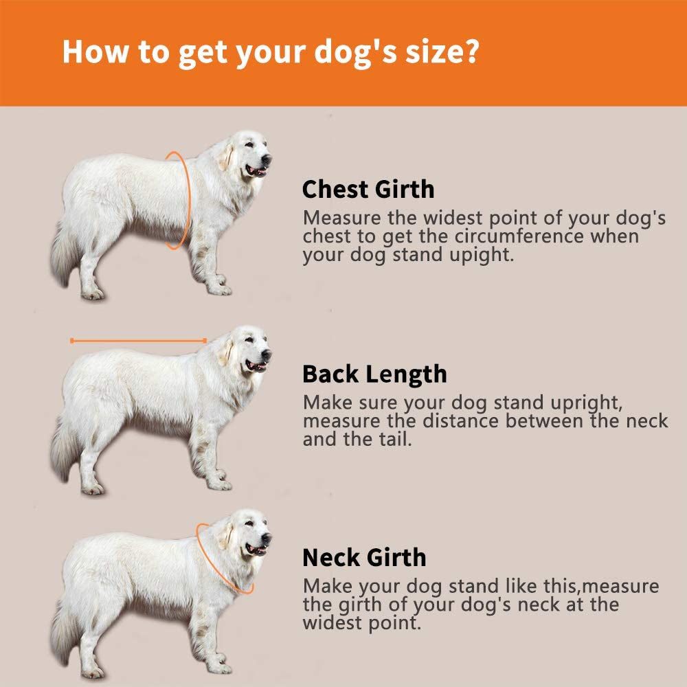 Dog Life Jacket