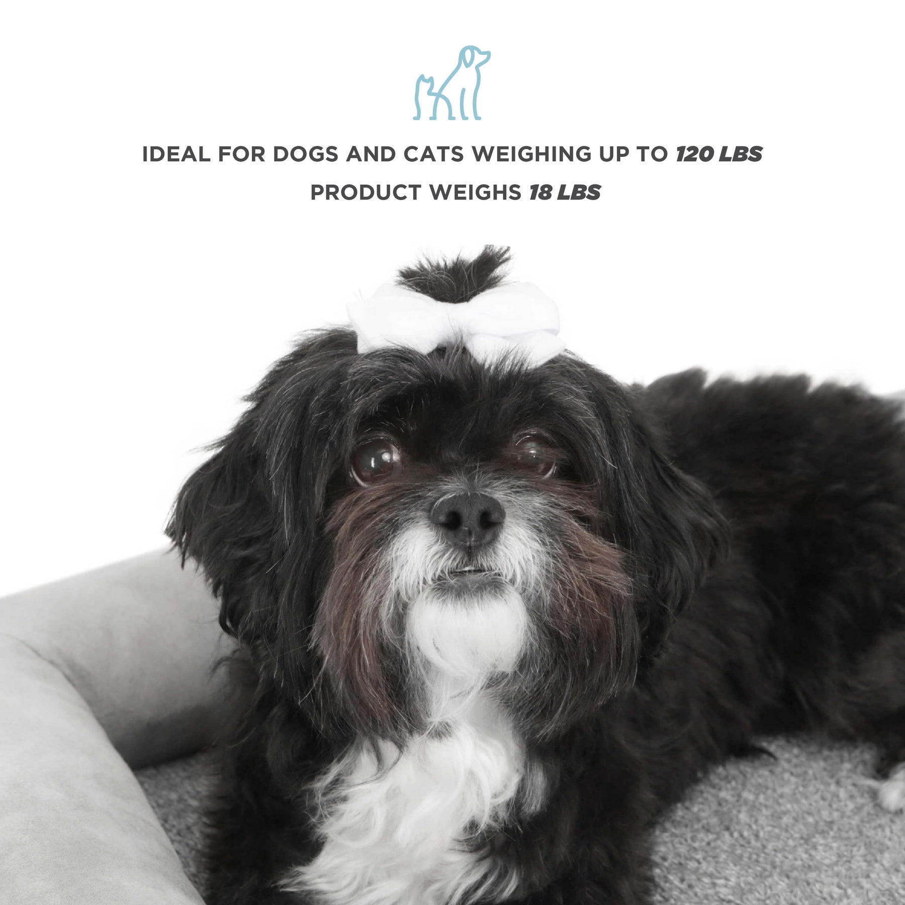 Small Wooden Elevated Pet Bed with Mattress
