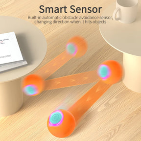   Automatic pet Bouncing Ball 