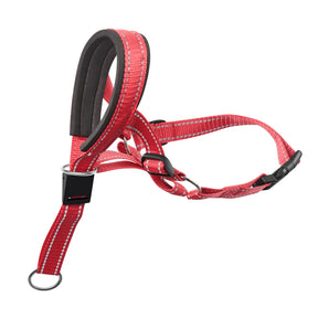 Muzzles anti Bark Dog mouth muzzle