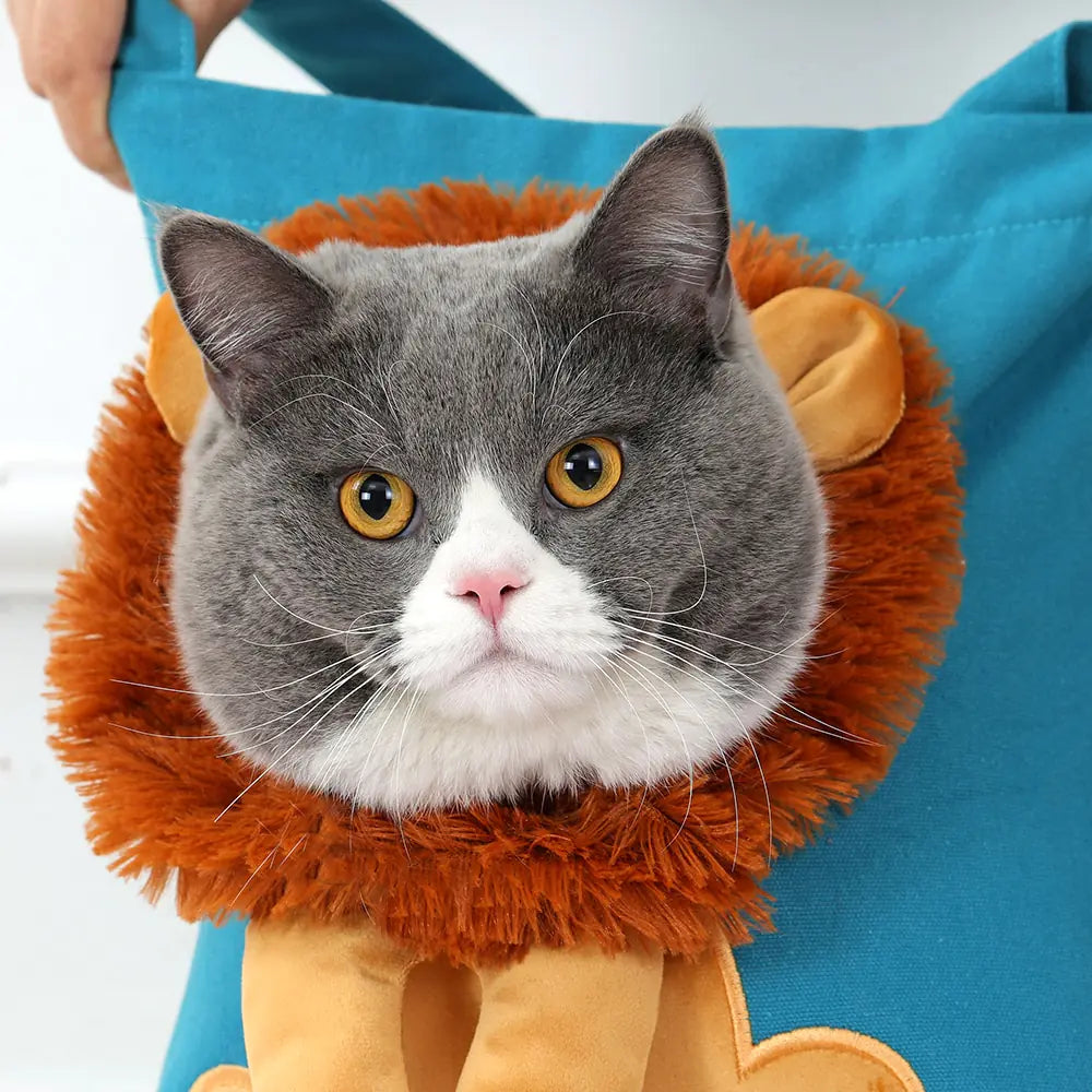 Presents Pet Carriers | Pet Travel