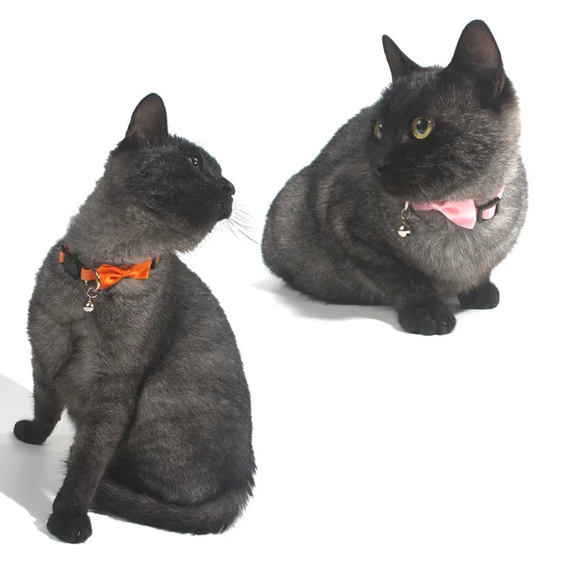 Pet bow Collars