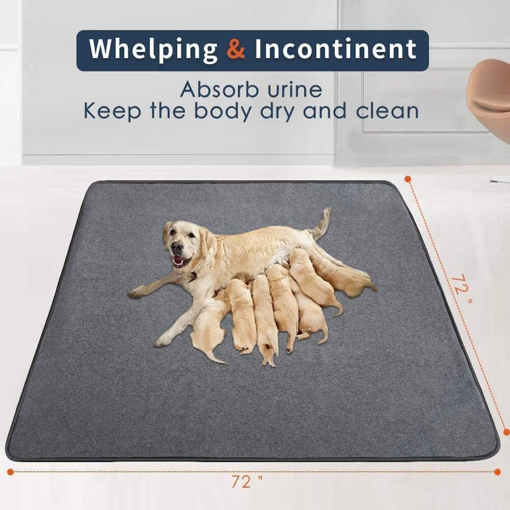 XL Washable Pee Pads for Dogs, 