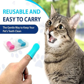 Interactive Launch Training pet 