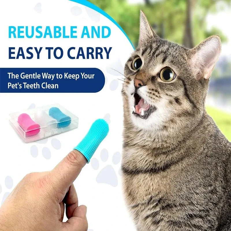 Interactive Launch Training pet 
