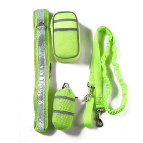 Pet Dog Cat Elastic Reflective Belt Running 