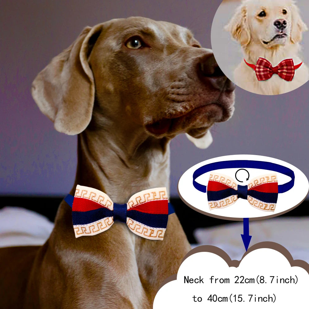 Dog Bow Tie 