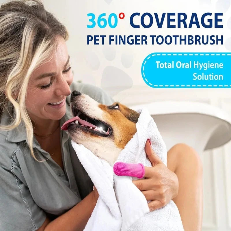 Interactive Launch Training pet 