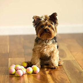 X-Small Dog Tennis Balls 