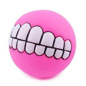 Dog Ball Toy