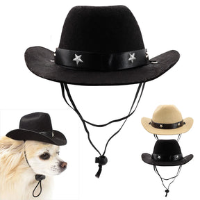 Summer Pet Hat