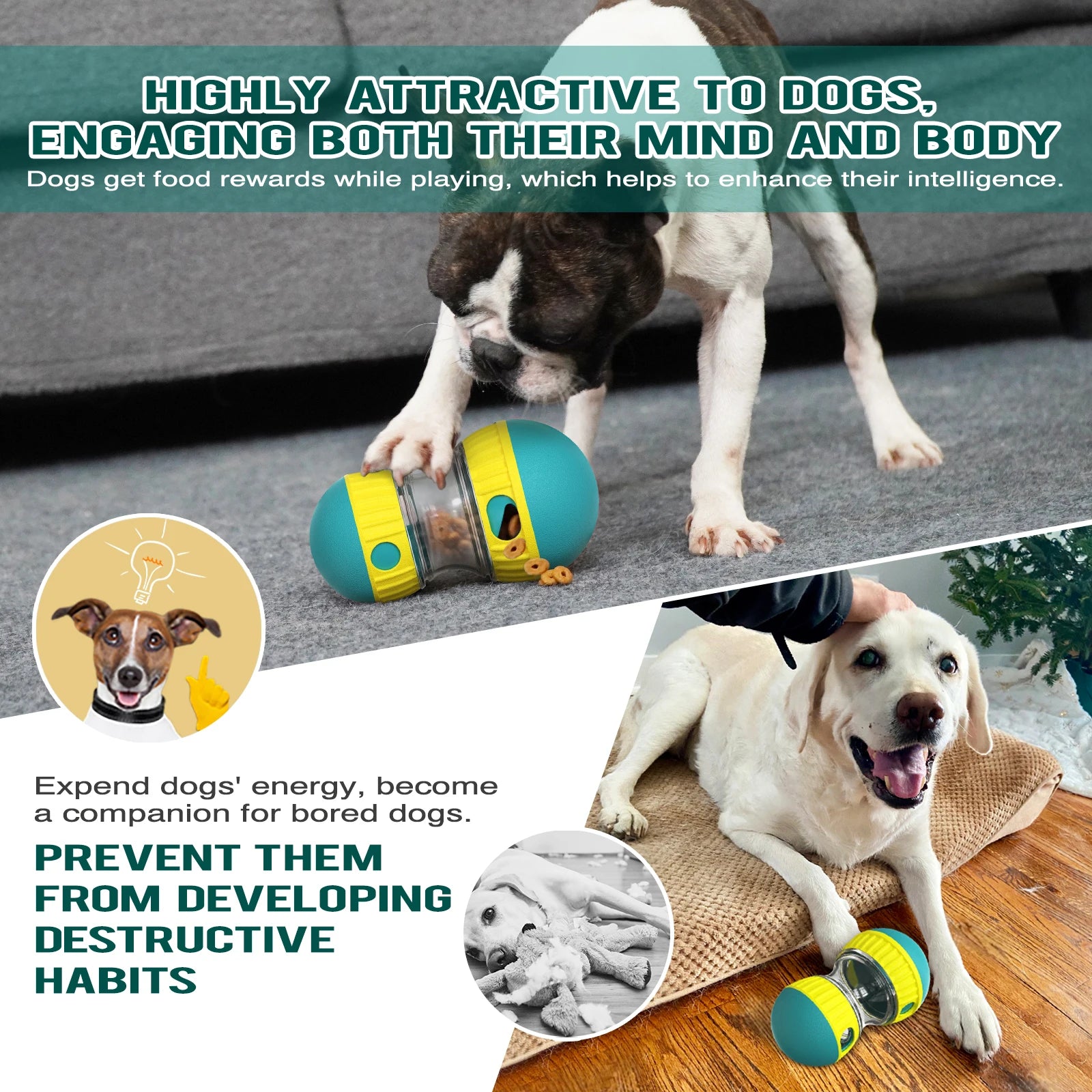 Treat Enrichment Pet Toy