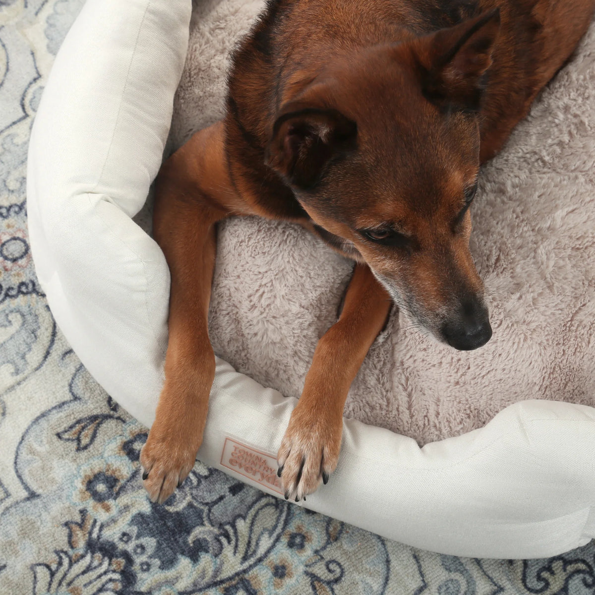 Comfy Cozy Cuddler Pet Bed