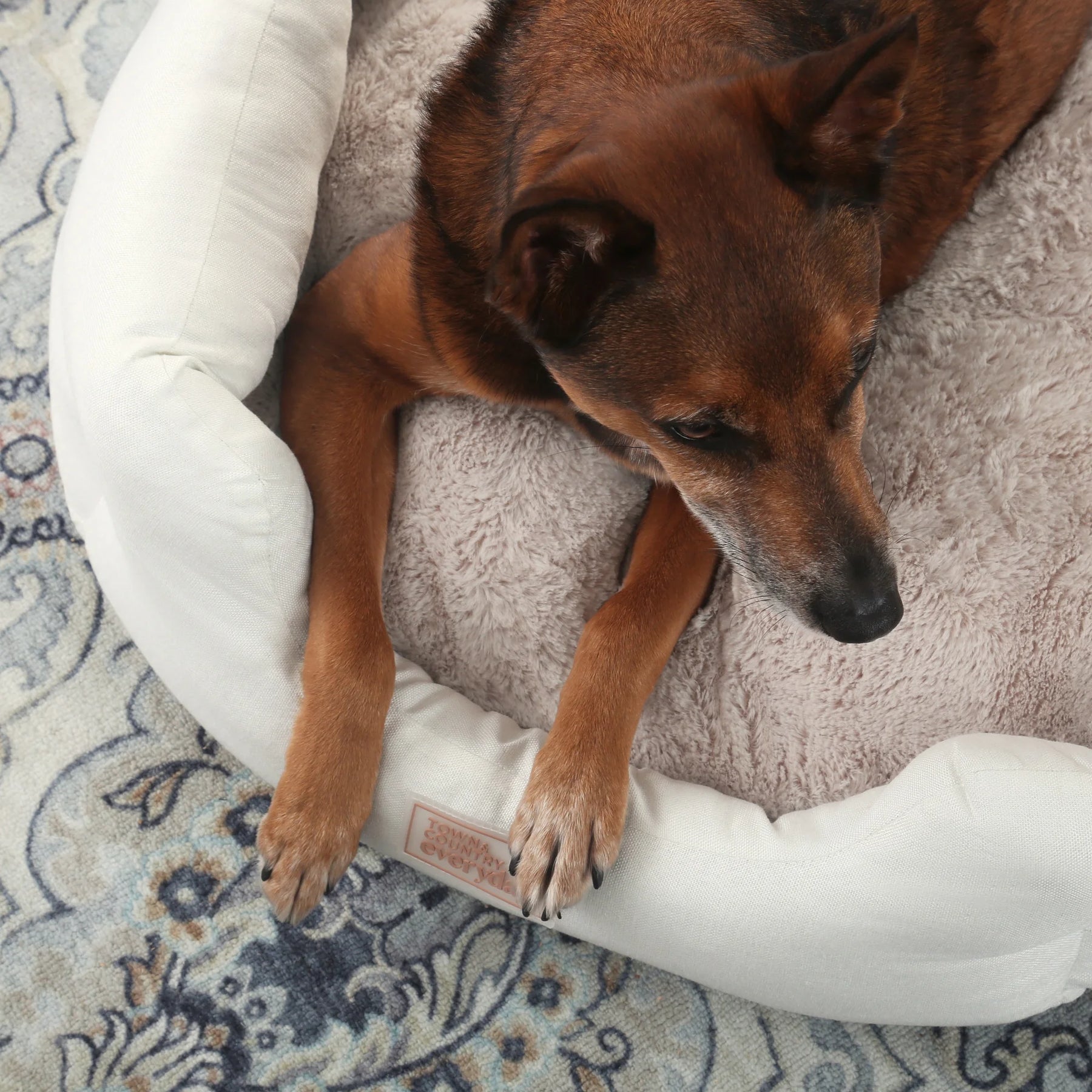 Comfy Cozy Cuddler Pet Bed