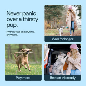 Portable Dog Water Bottle