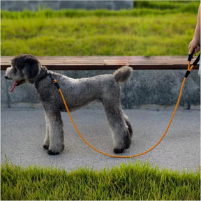 Heavy Duty Rope Dog Leash