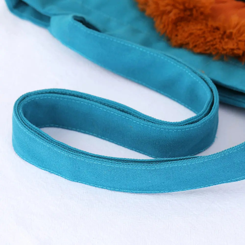 Presents Pet Carriers | Pet Travel