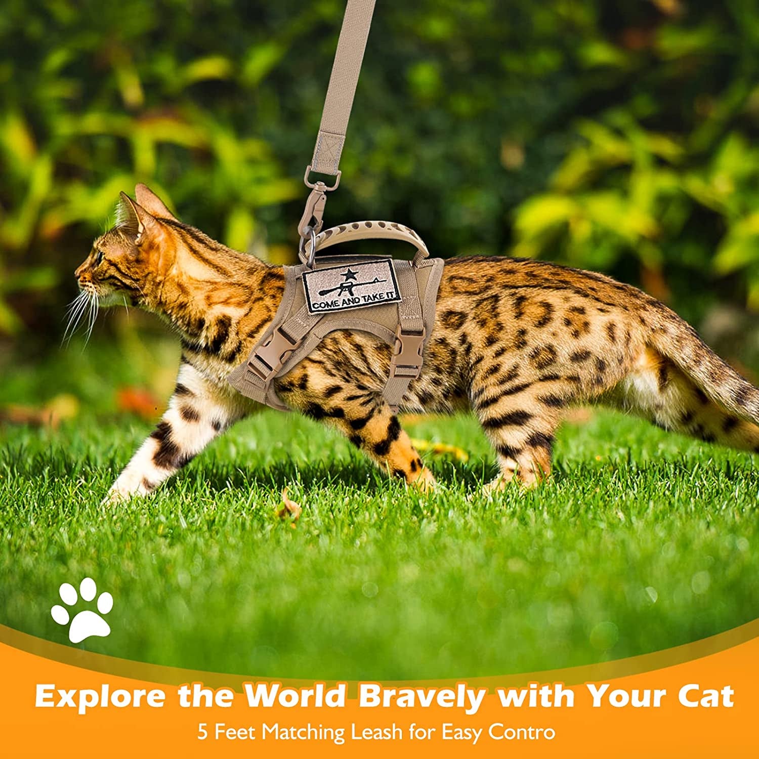  Cat Harness and Leash Set 