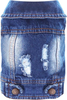 Cool Dog Denim Jacket 