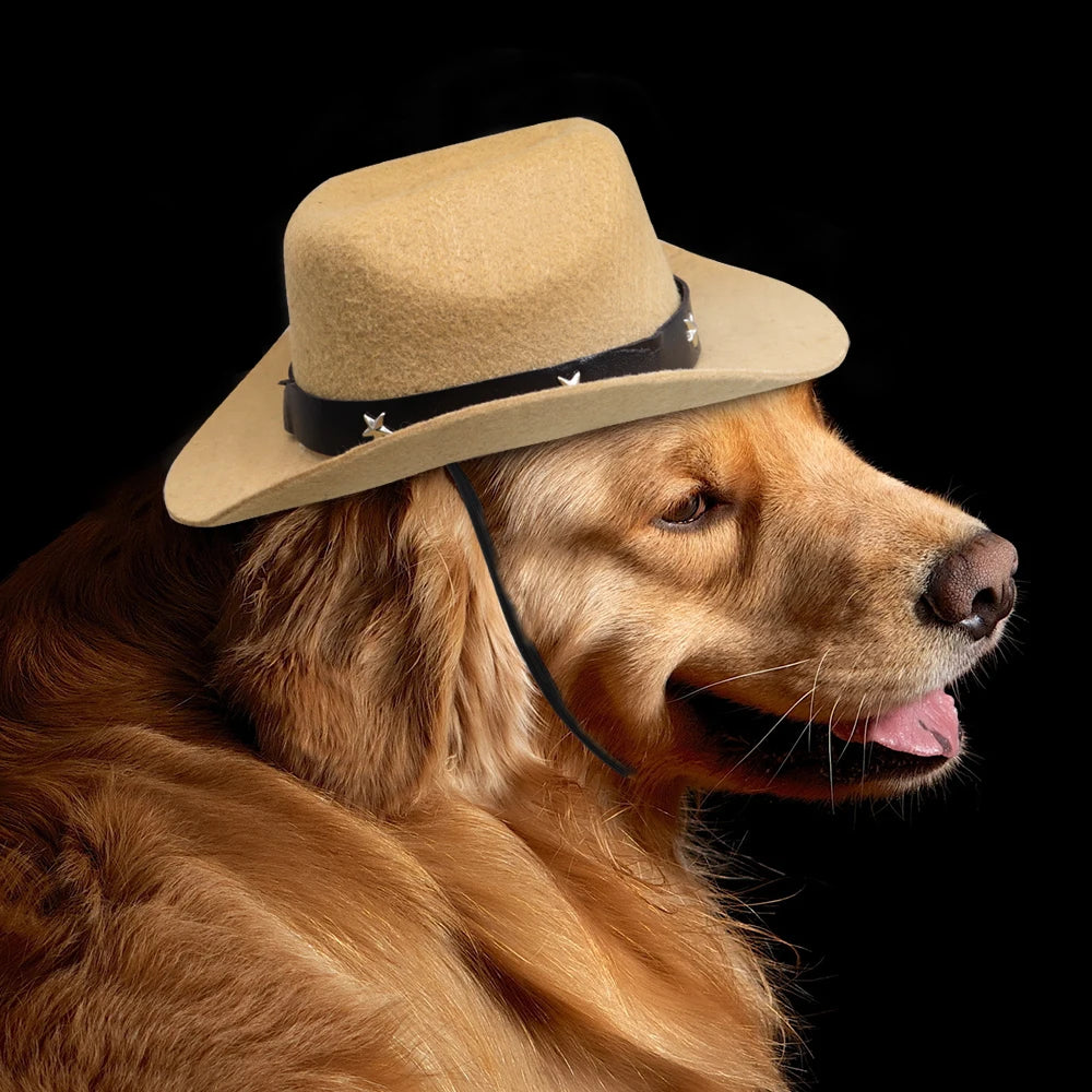 Summer Pet Hat