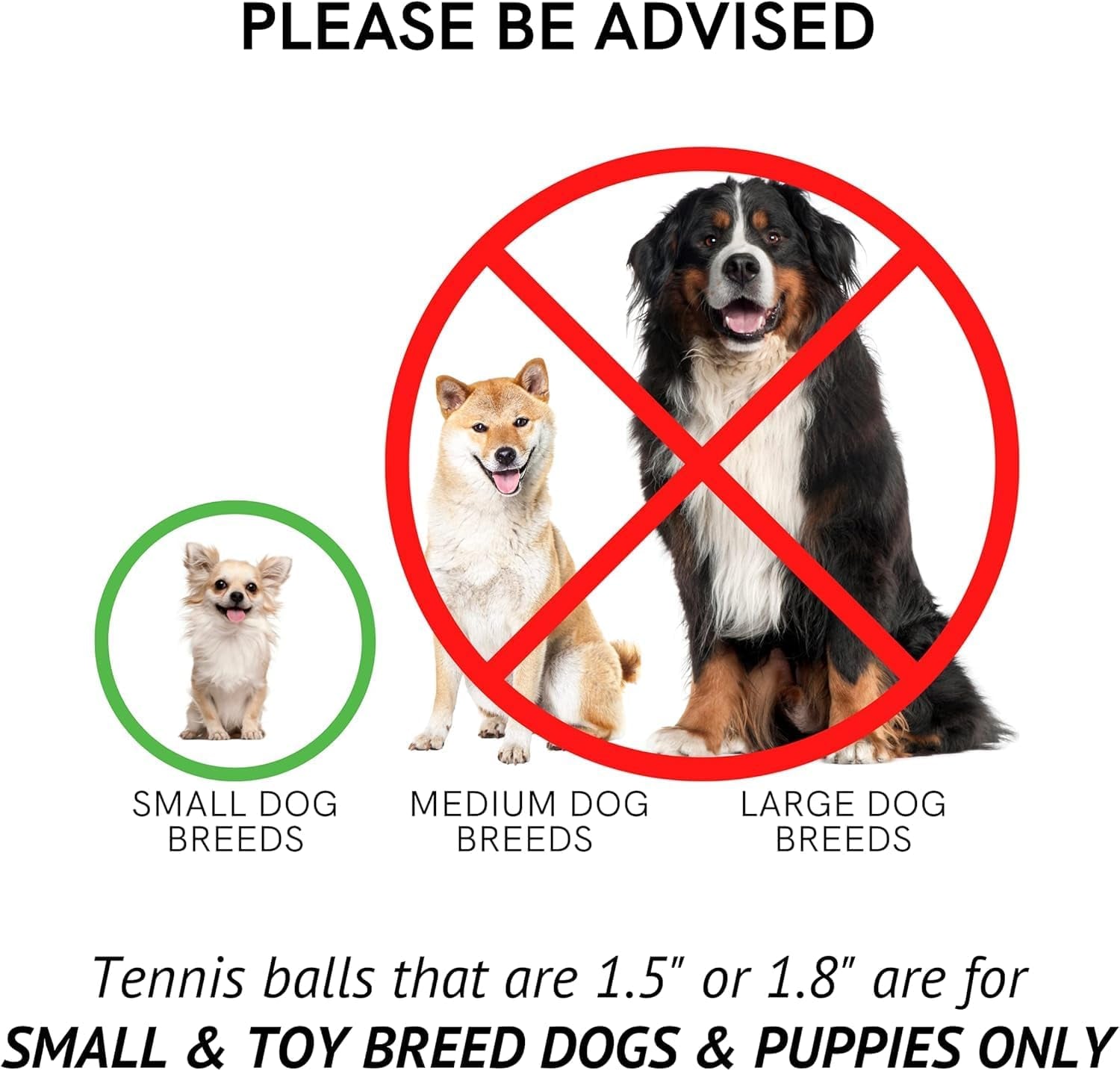 X-Small Dog Tennis Balls 