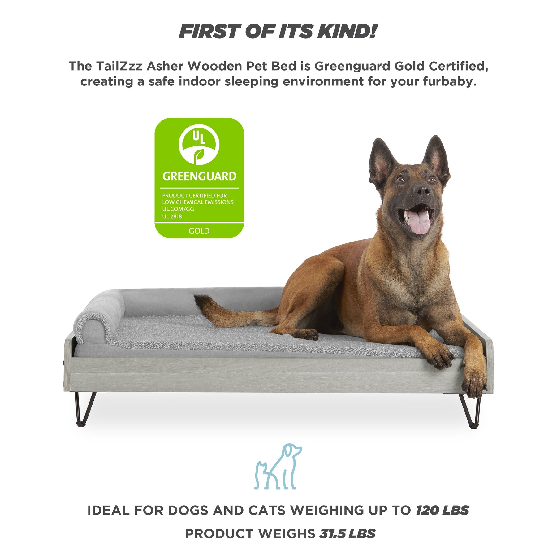  Wooden Pet Bed with Mattress 