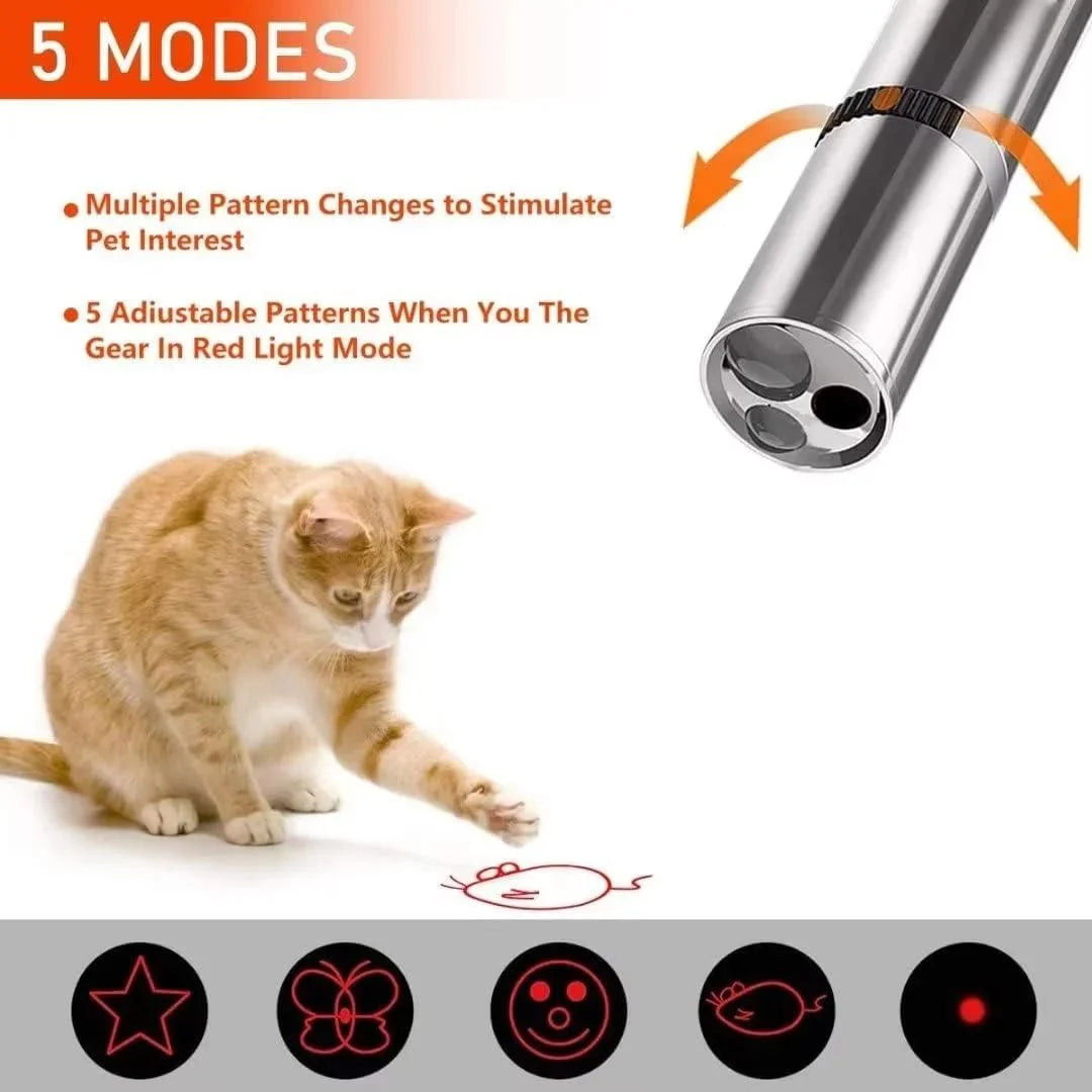 Pet Laser Point