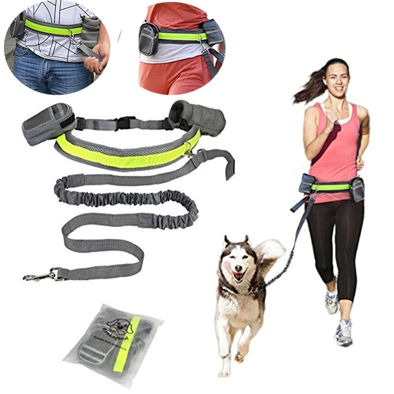 Pet Dog Cat Elastic Reflective Belt Running 