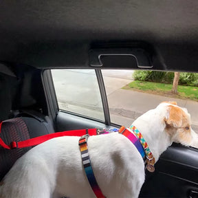  Pet Car Seat Belt
