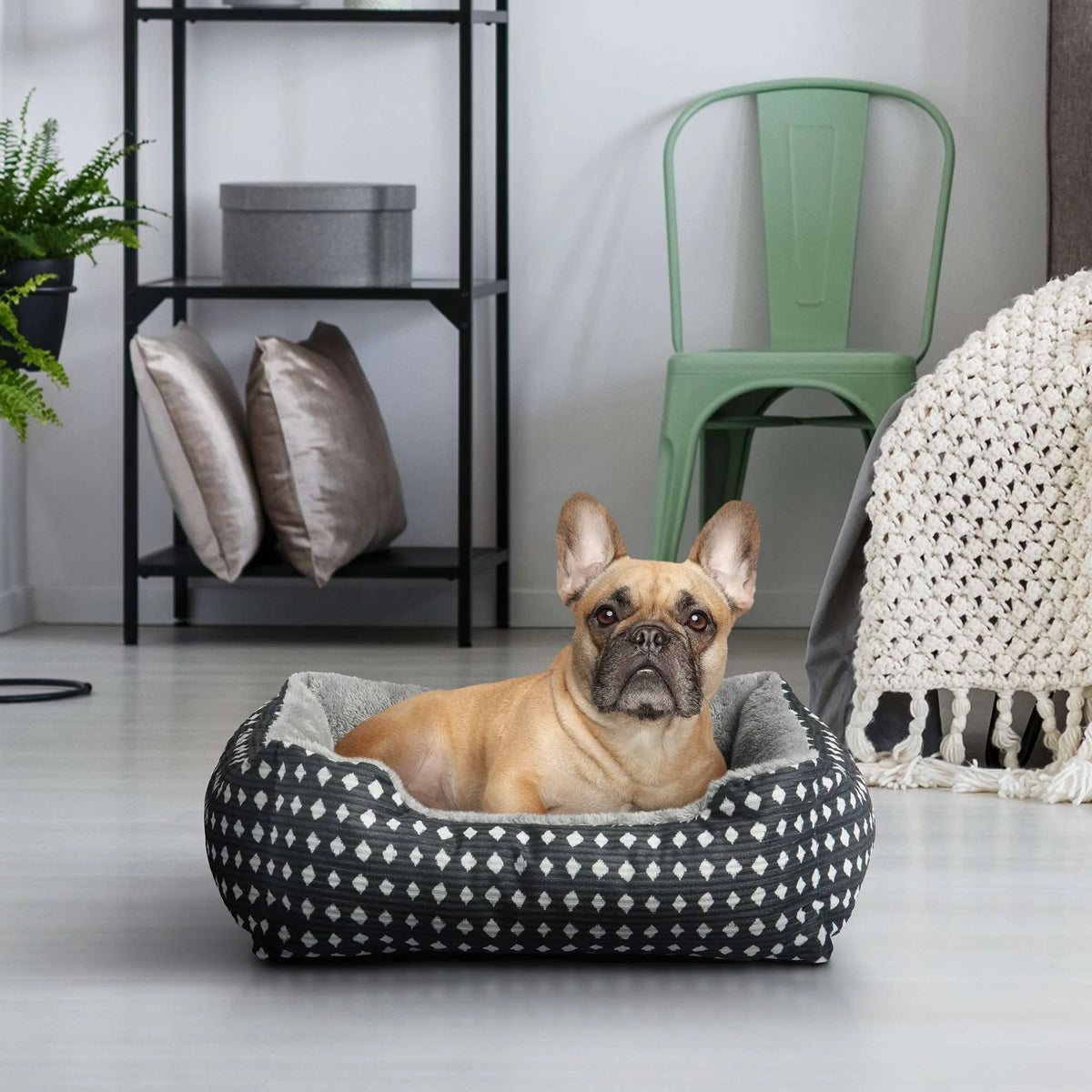 Bed for Your Pet