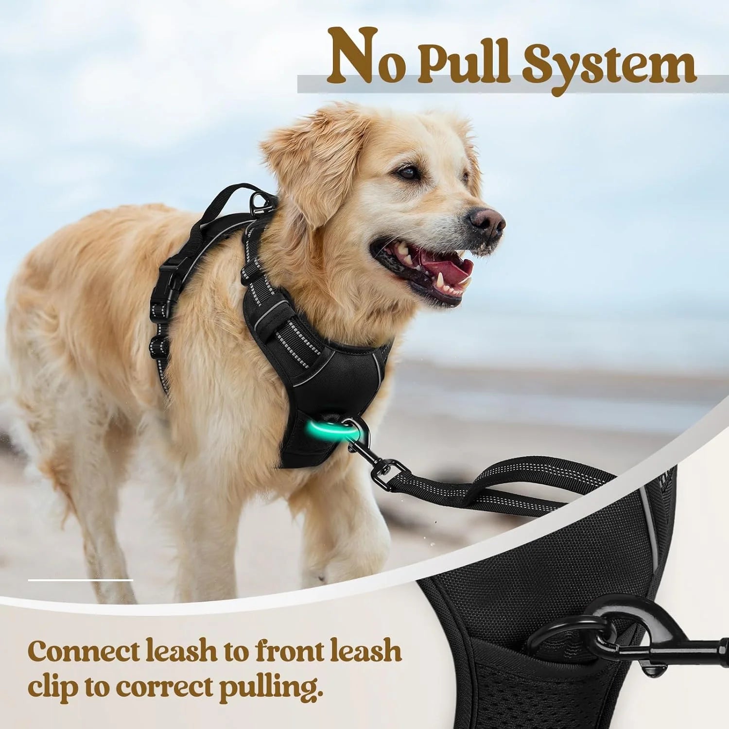 No Pull Dog Harness