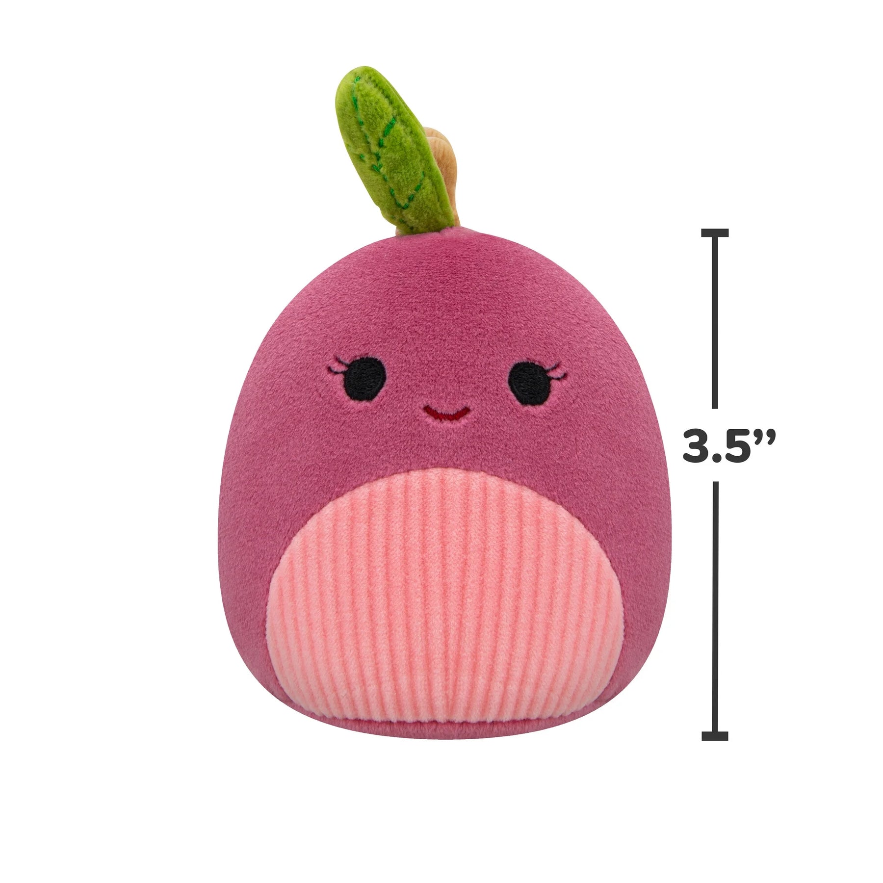  Plush Dog Toys