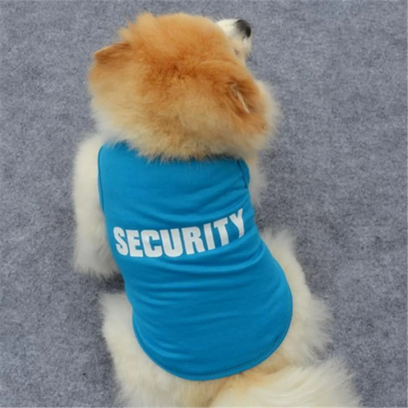 Small Dog Printed Pullover 