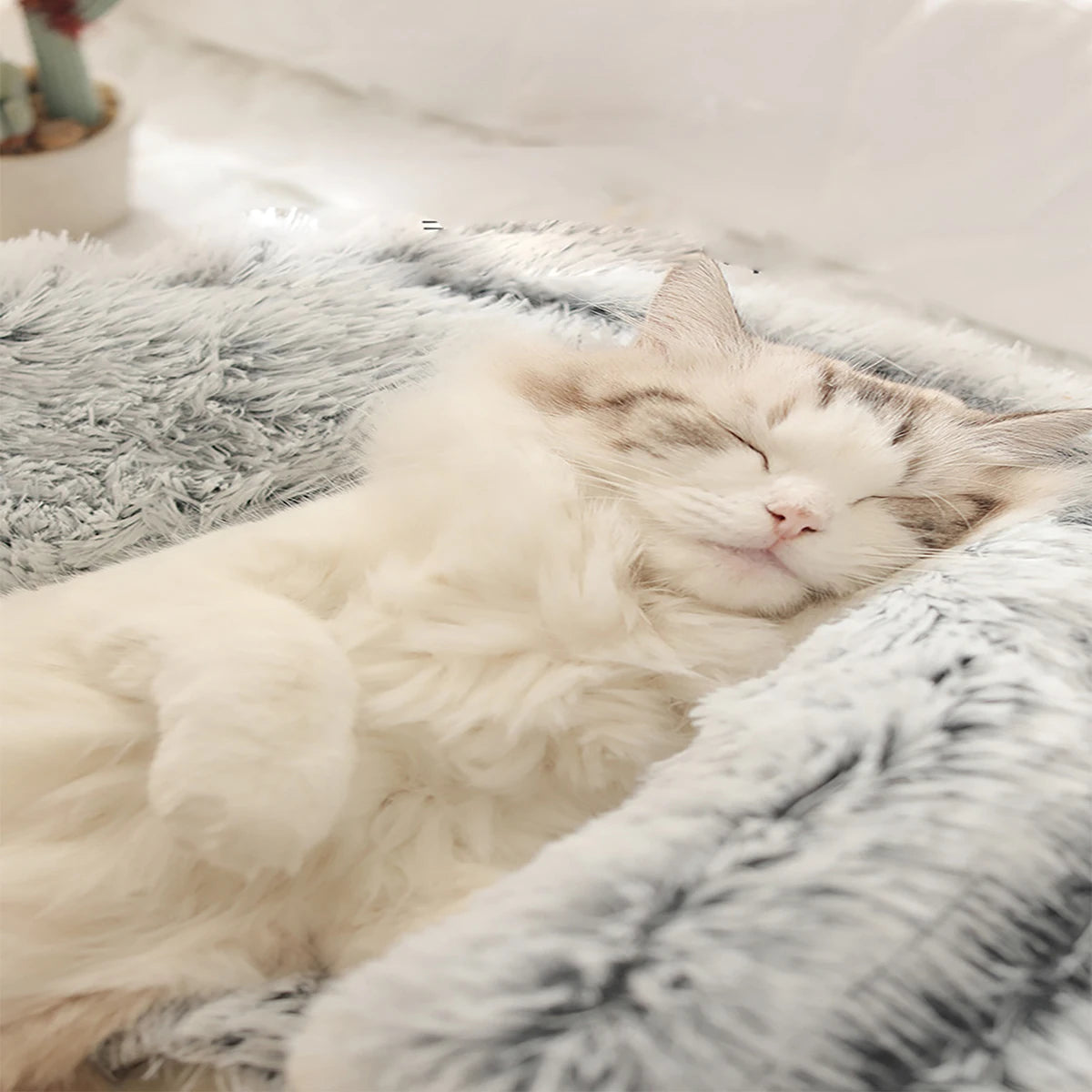Plush Hooded Pet Bed 