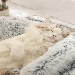 Plush Hooded Pet Bed 