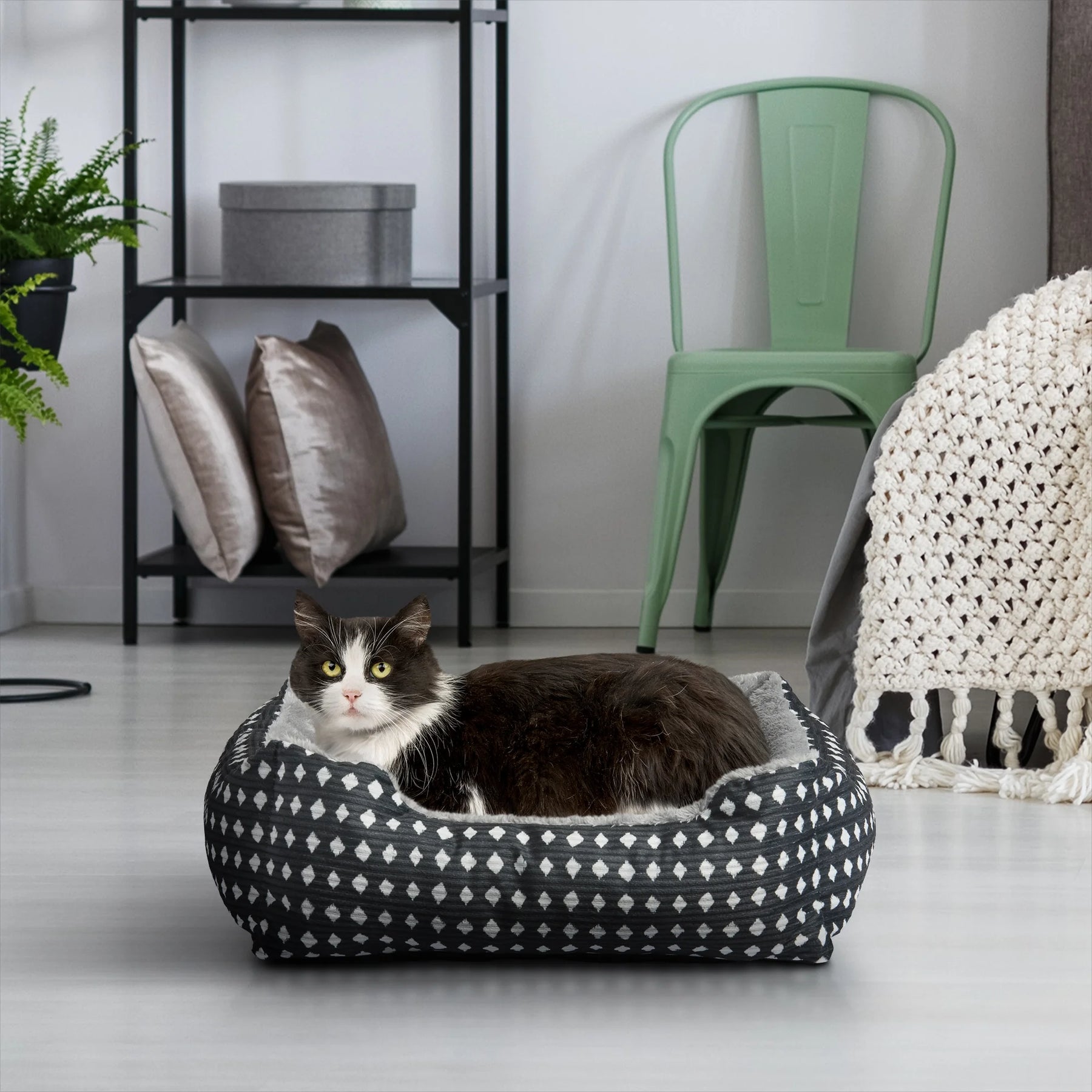 Bed for Your Pet