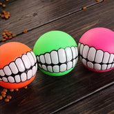 Dog Ball Toy