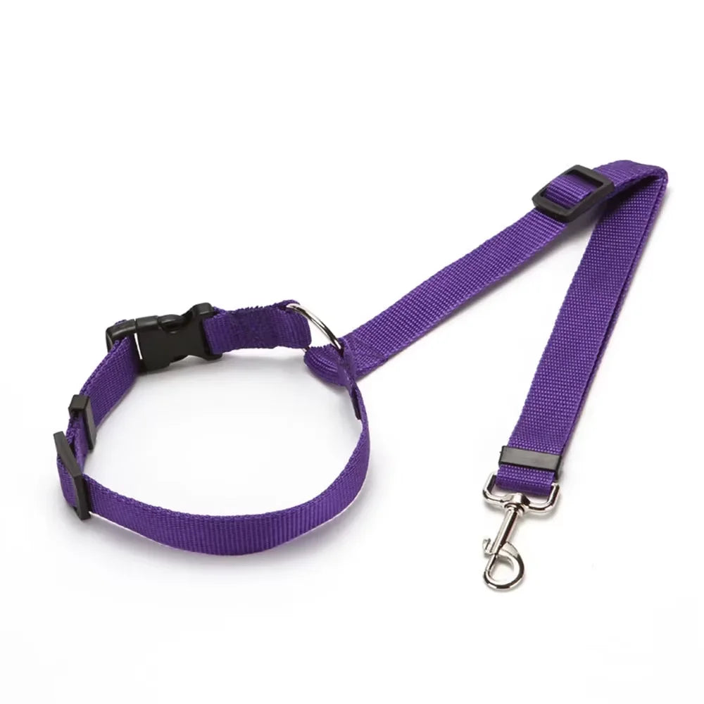  Pet Car Seat Belt
