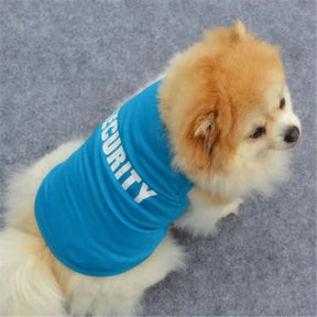 Small Dog Printed Pullover 