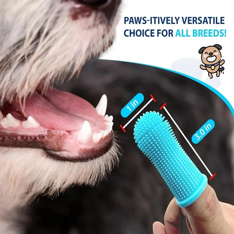 Interactive Launch Training pet 