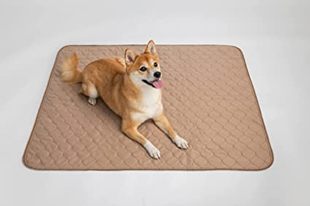 Reusable Dog Pee Pad