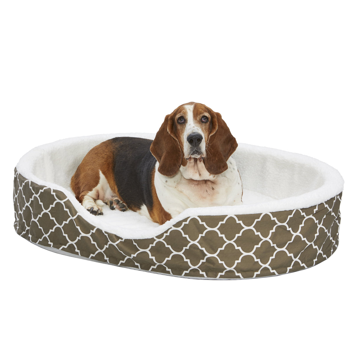 Homes for Your Pets 