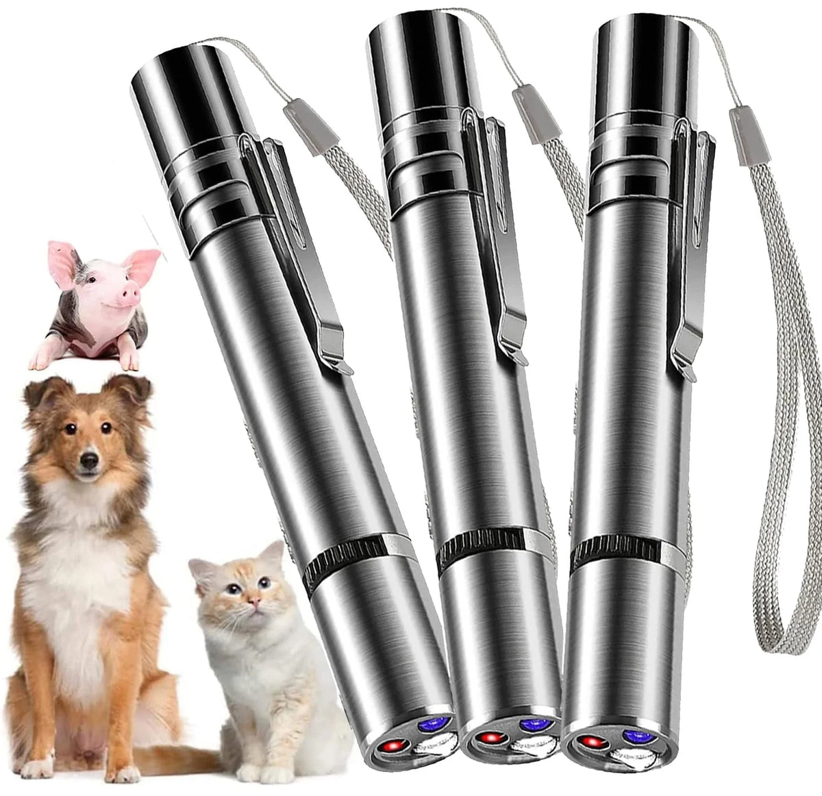 Pet Laser Point