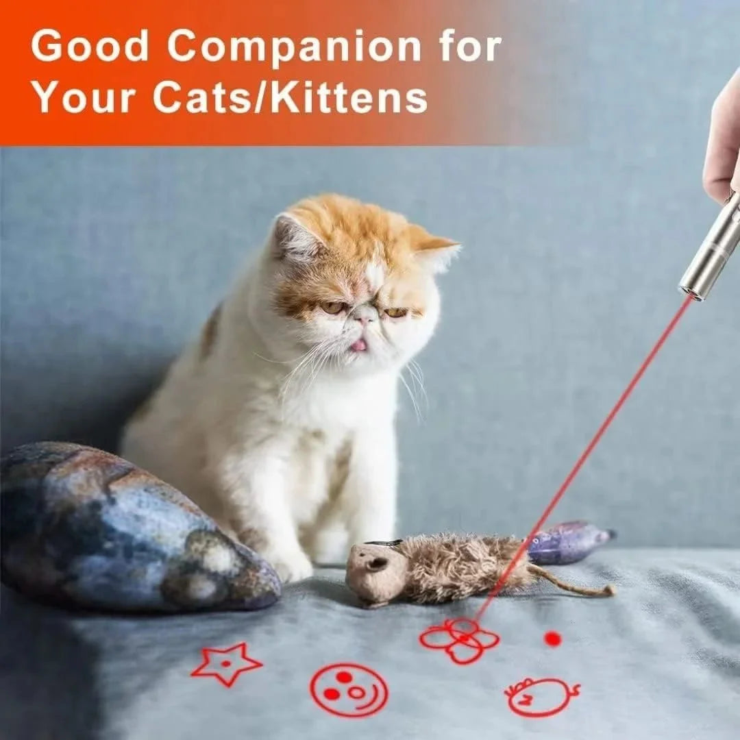 Pet Laser Point