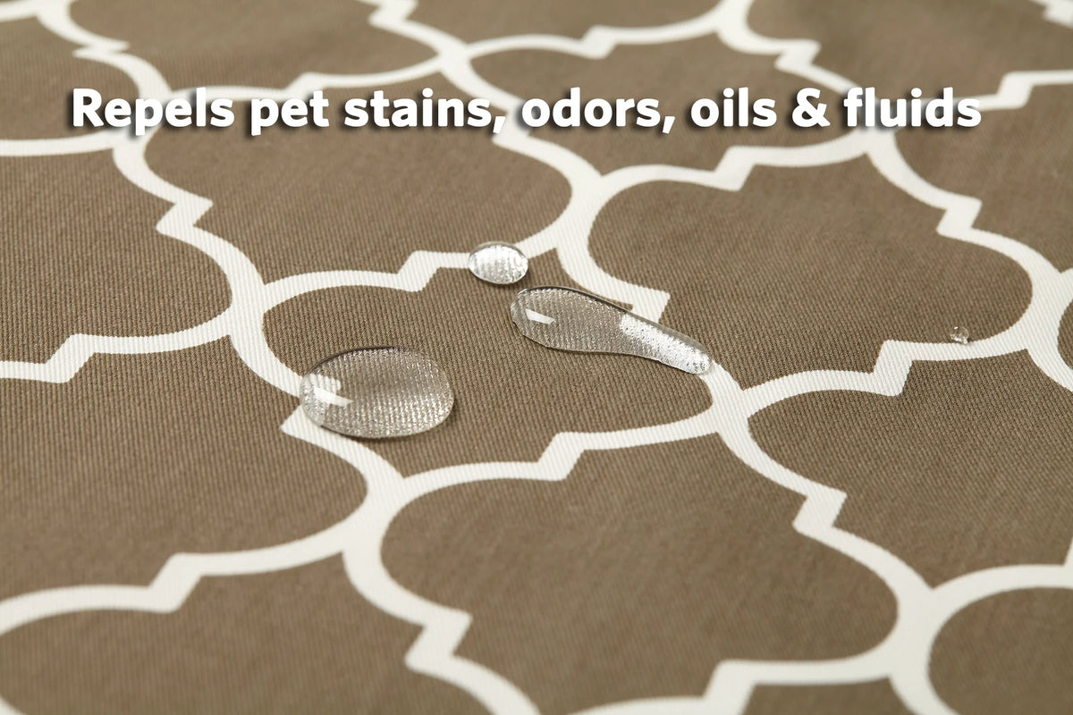 Homes for Your Pets 