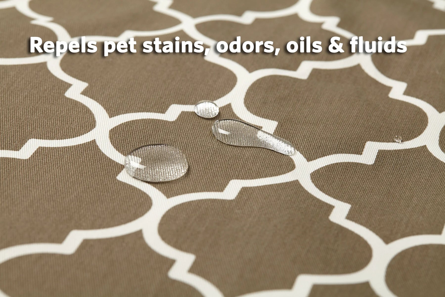 Homes for Your Pets 
