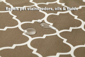 Homes for Your Pets 