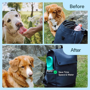 Portable Dog Water Bottle