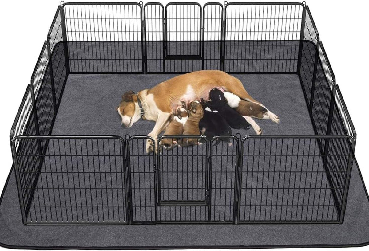 XL Washable Pee Pads for Dogs, 